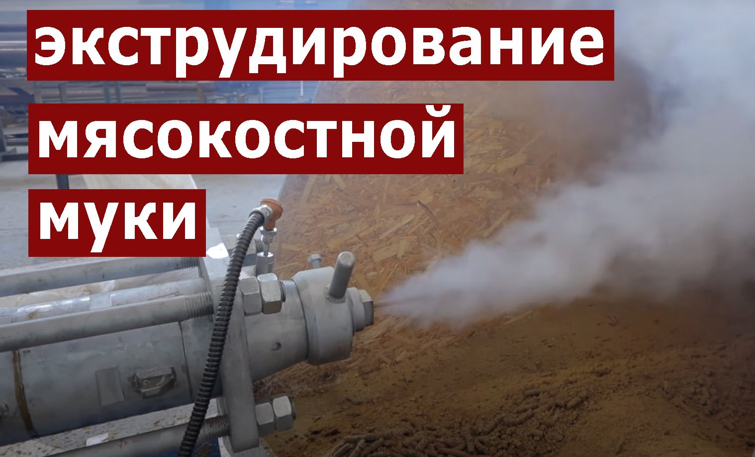 Экструдирование мясокостной муки на экструдере Экспро М. Работа предприятия.