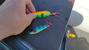 ЛОВИМ ЩУКУ НА БЛЕСНЫ ОСЕНЬЮ. РЫБАЛКА НА СПИННИНГ