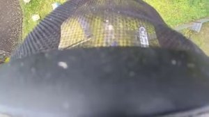 Спил дерева по частям на дачном участке