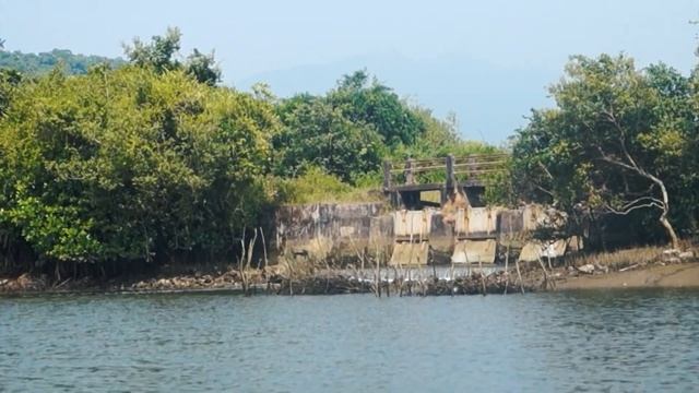 River boat tour Backwaters Palolem, Floating Rock | Moments&Places смотреть онлайн