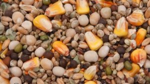 Комбикорм ПК 5 для бройлеров