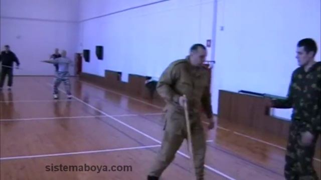 Работа с палкой. Часть 4. Пластунский рукопашный бой. Система боя - Леонид Полежаев