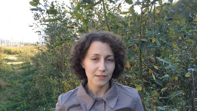 Волосы - уход без хлопот:) Видеоэксперимент часть 2! СМОТРЕТЬ ВСЕМ! смотреть онлайн