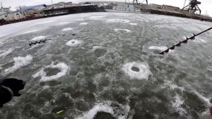 КАК ЛОВИТЬ НА ВИБЫ, ОСНАЩЕНИЕ УДОЧКИ ДЛЯ ЛОВЛИ СУДАКА, ЛОВЛЯ СУДАКА НА ВИБЫ В ДЕКАБРЕ 2022