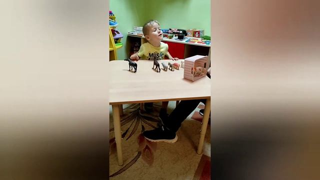 Коррекционно - развивающие занятия с педагогом - психологом