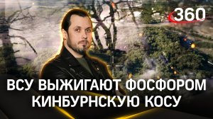 Украинские боевики уничтожили реликтовый лес в качестве мести. ЧП Иван Бер