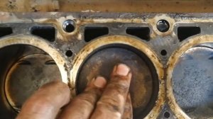 Поршни двигателя 11194