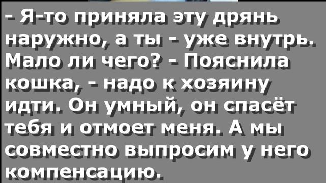 Чербелоидный подкаст #287 - Недостаток фактов и компенсация смотреть онлайн