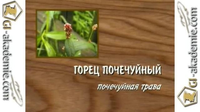 004 - Лечебные растения.