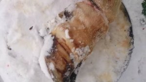 Якутский нож в работе. Снятие шкуры чулком с ноги коровы. Отделение костей по суставам.