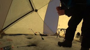 Корюшка. Зимняя рыбалка. 4 вида наживки. Финский залив.