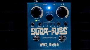 Way Huge SUPA-PUSS  The BEST analog delay on the market!