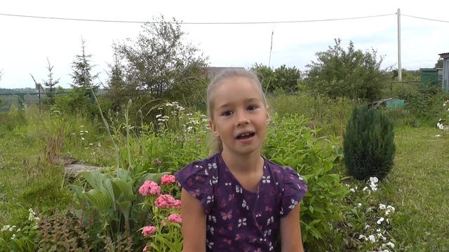 Страна читающая — Екатерина Шкурко читает произведение «Чудная картина» А. А. Фета смотреть онлайн