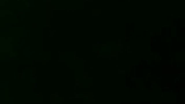 Подвалы на ул. Дыбенко