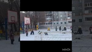 Проект Здорово жить здорово! Верные друзья