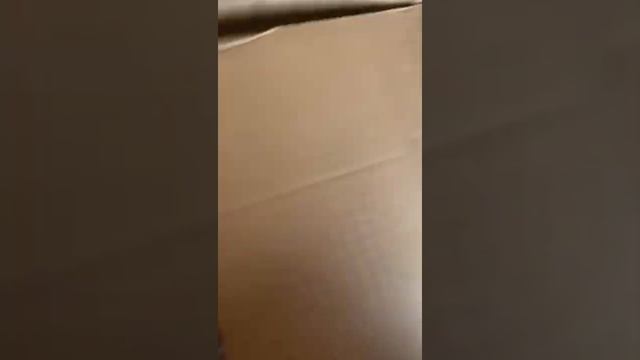 Depoimento de clientes, Oracle Company distribuidora online смотреть онлайн