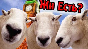 Барашки Едут Жить в Лондон! (Home Sheep Home) №2
