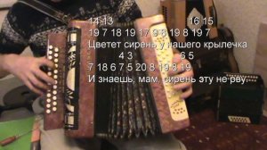 Цветет сирень разбор с цифрами