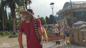 отдых в АБХАЗИИ в июле Нудистский пляж