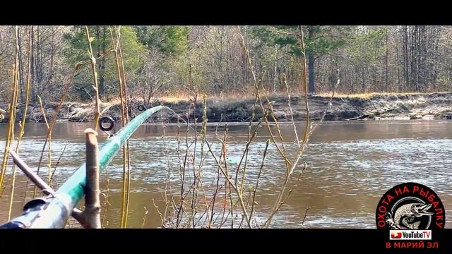 Река РУТКА 4.05.2020 г смотреть онлайн