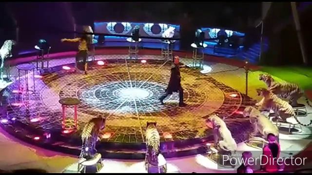 Поход в цирк смотреть онлайн