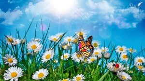 Божья коровка и друзья (6 серия познавательной сказки)