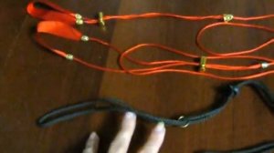 Как выбрать ринговку(поводок для выставок) для йоркширского терьера