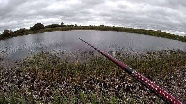 Ловля ротана на удочку осенью. Пробуем ловить ротана на тюльку смотреть онлайн