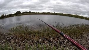 Ловля ротана на удочку осенью. Пробуем ловить ротана на тюльку