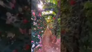 УЙГУРСКАЯ МЕЛОДИЯ 2022.ГОД.