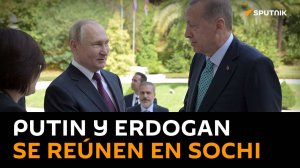 Putin aborda el desarrollo positivo de las relaciones entre Rusia y Turquía