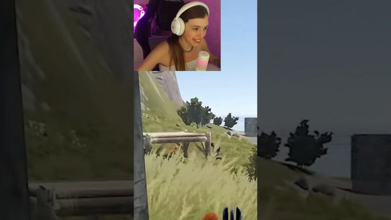 Обворовала кепок и нашла их заначки в #rust #френдли #раст