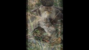 Великий русский художник Павел Рыженко...   Музыка Вячеслава Орехова