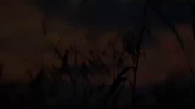 nikon P500 & D5100 still shots смотреть онлайн