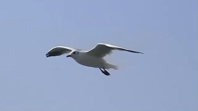 керченский пролив 2 смотреть онлайн