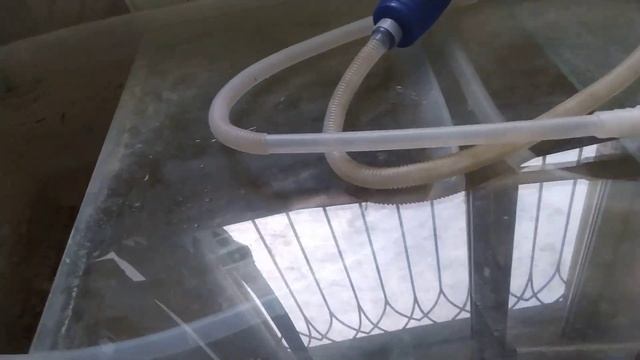 Ржавая вода в аквариумах, что делать? Новый житель и Аулофорус! смотреть онлайн