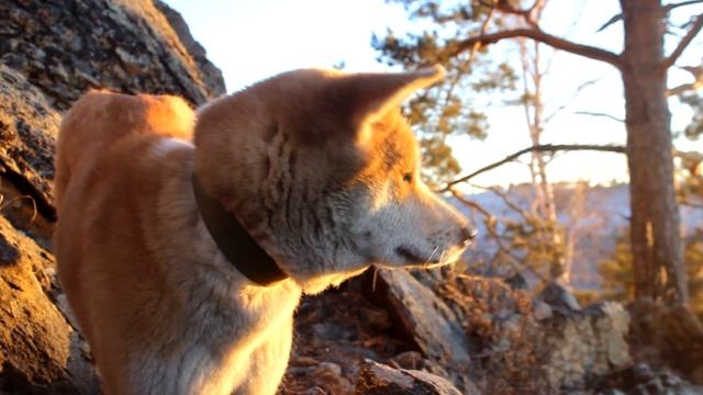 Забайкальский край смотреть онлайн