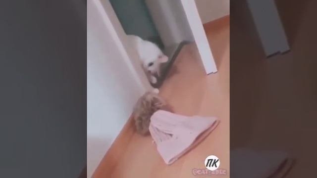Шапкаааааа