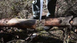 Тест пилы silky katanaboy 650, samurai 540, fiskars sw47