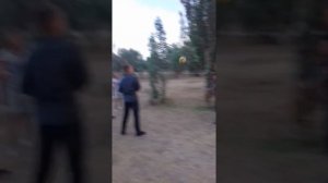 Как с дерева достать мяч мячом????