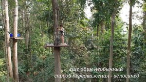 Полёт Тарзана, экскурсия в Паттайе