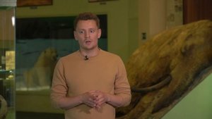 Археология Таймыра