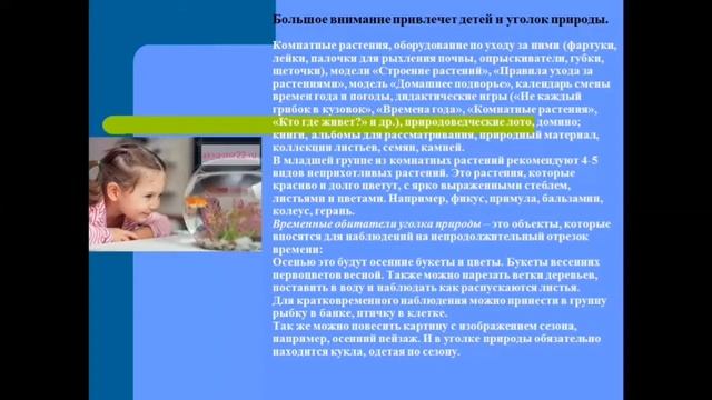 Организация адаптационного периода в дошкольной организации смотреть онлайн