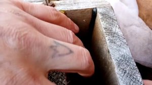 инкубатор для форели 2022.04.29