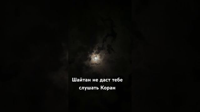 Очень красивая чтение Коран. Билал Дарбали. #quran #намаз