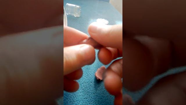 делаем пластинин-слаимммм смотреть онлайн