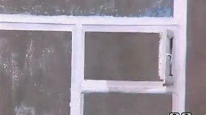Полезные советы профессора Чайникова. Выпуск 1. Мультик.