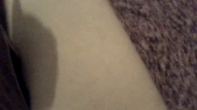 моя кошка из египта смотреть онлайн