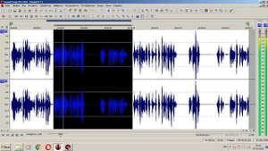 ВИДЕОИНСТРУКЦИЯ ДЛЯ НАЧИНАЮЩЕГО ДИКТОРА / SOUND FORGE PRO