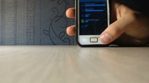 Обзор Samsung Galaxy Ace La Fleur GT S5830I